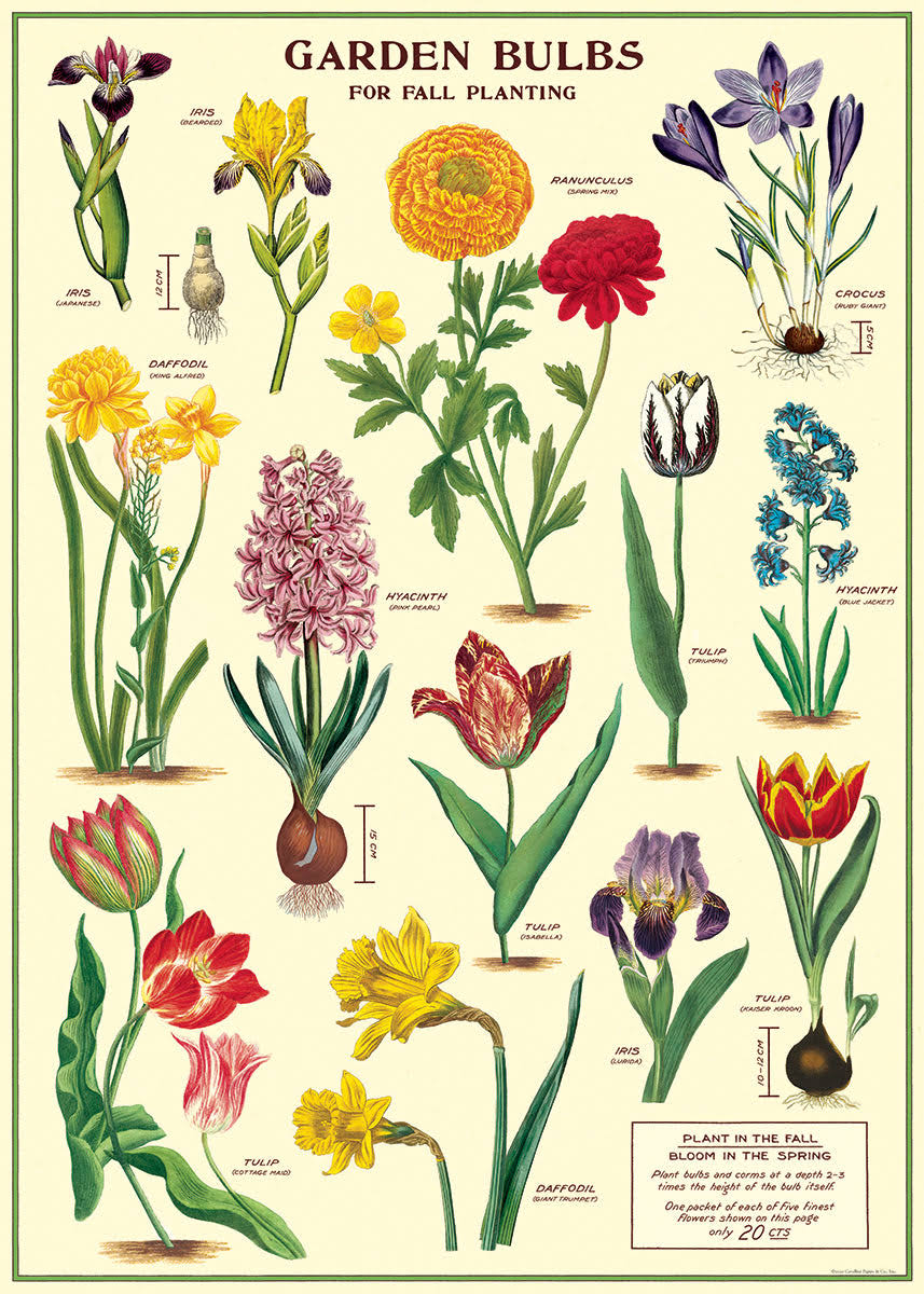 Poster Wrap (Garden Bulbs) - Product image 1